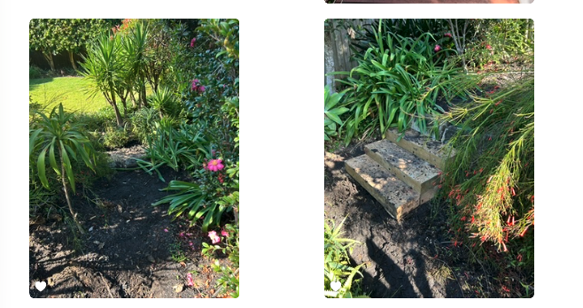 New sandstone garden path opening up a previously planted-over area